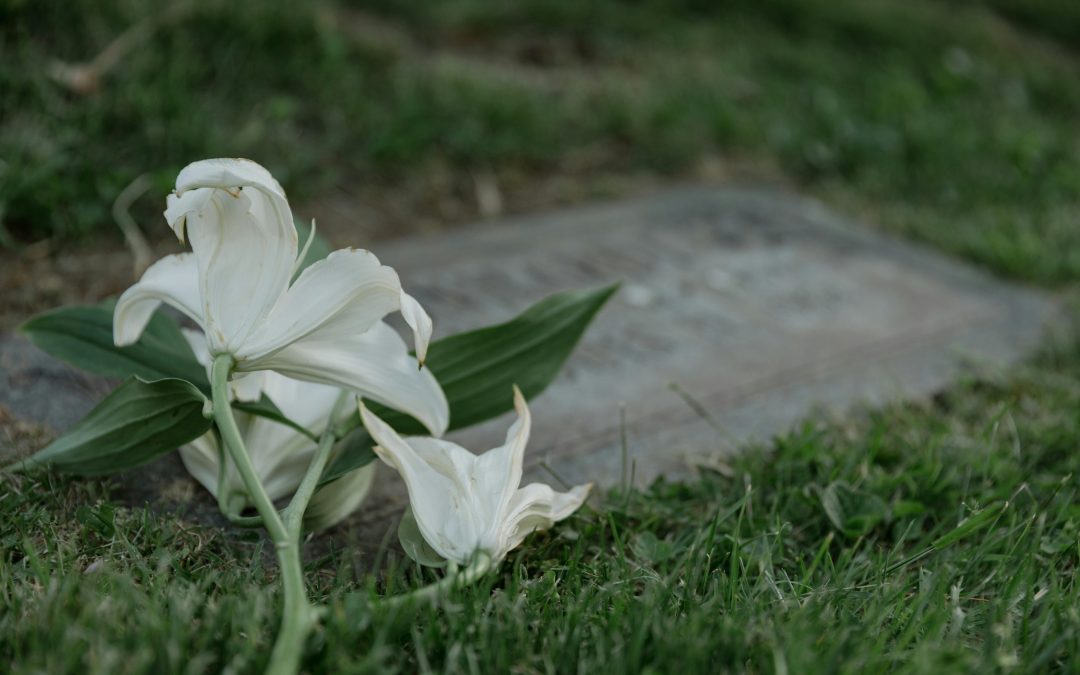 Fiori Funebri: Quali Scegliere e il Loro Significato