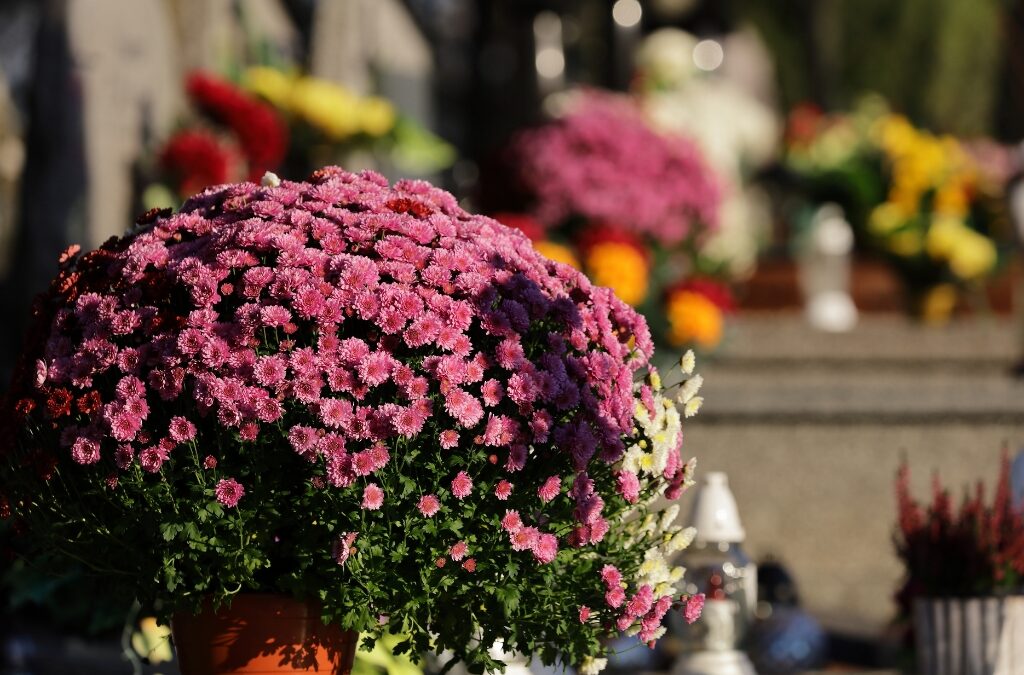 Sepoltura nei cimiteri di Alba e dintorni: come funziona e cosa sapere
